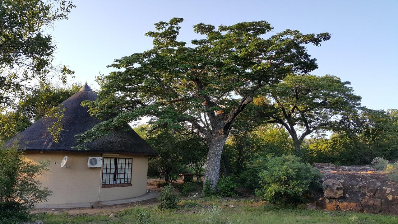 Awelani Lodge Masisi Luaran gambar