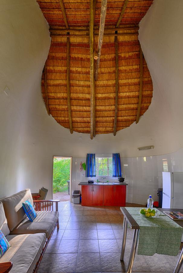 Awelani Lodge Masisi Luaran gambar