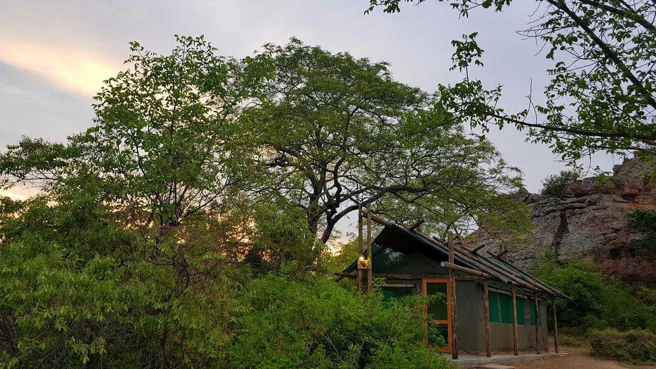 Awelani Lodge Masisi Luaran gambar
